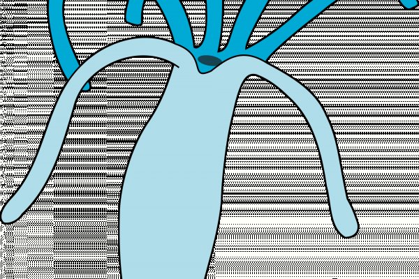 Ссылка на сайт кракен в тор браузере